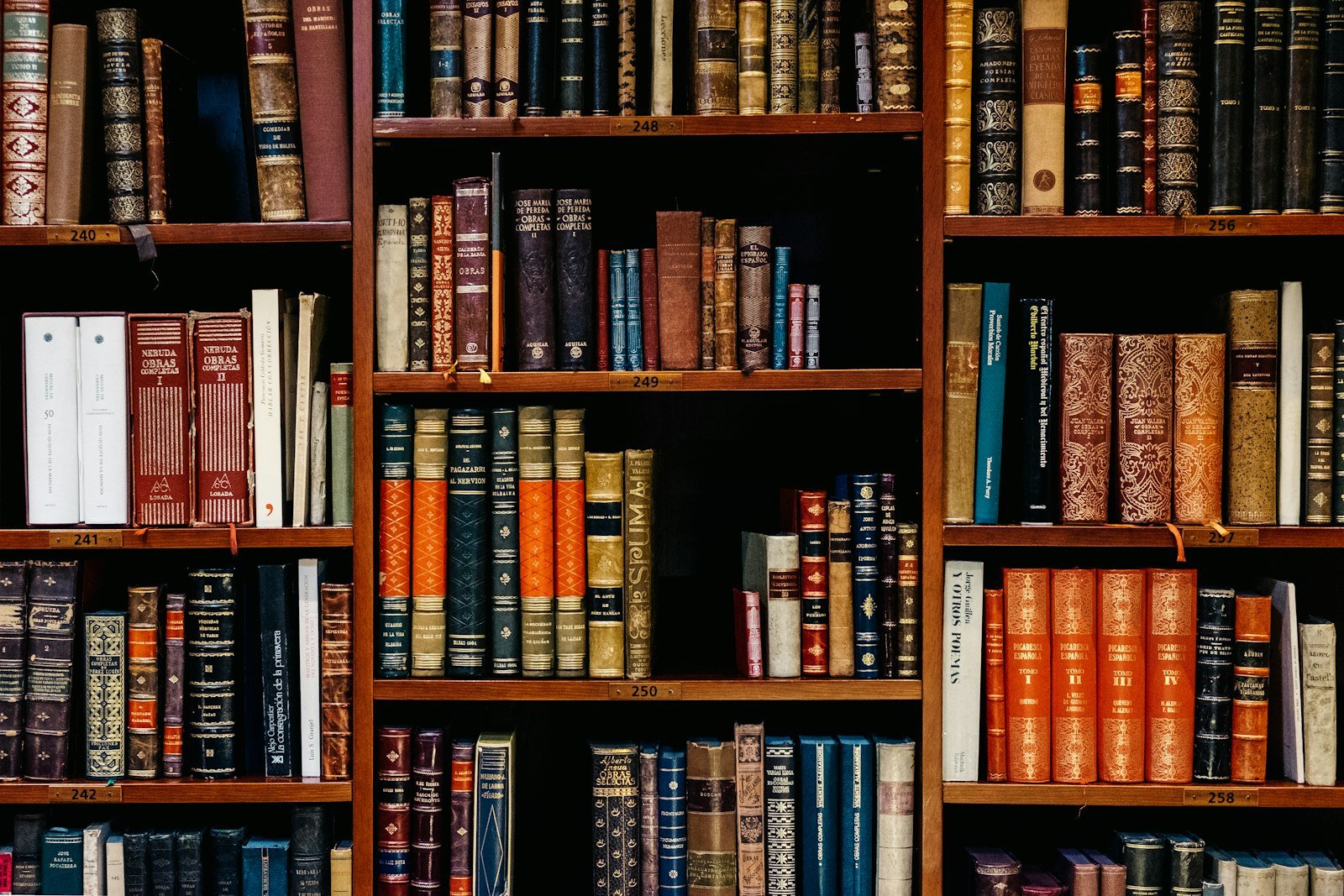 Rayonnages d’ouvrages dans une bibliothèque